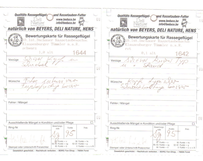 fise albitraj Dachau Germania 2007