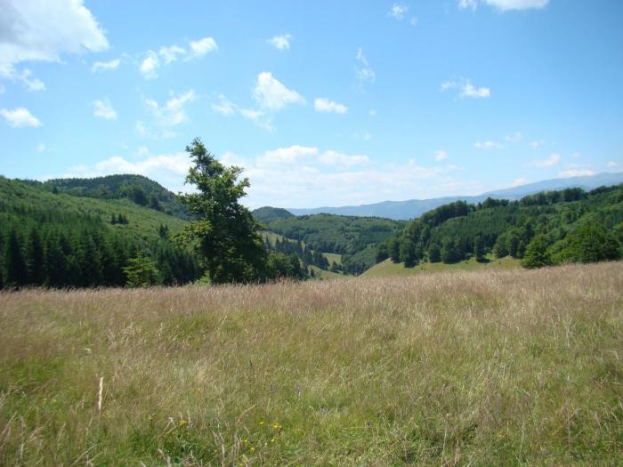 DSC02095 - Concediu 2008