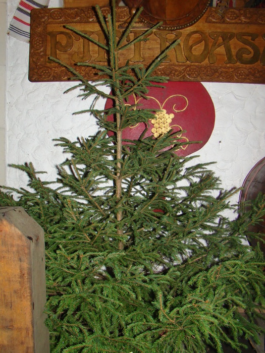 DSC01051 - vacanta dec 2009