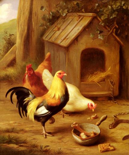 Hunt_Edgar_Chickens_Feeding - ANIMALE