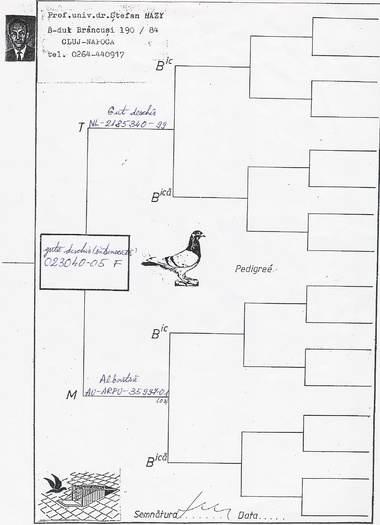 Prof.Univ.Dr Stefan Hazi Janssen - Pedigree Matca