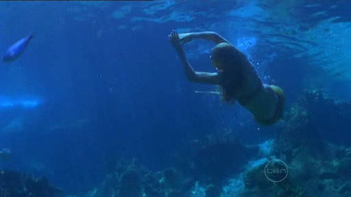 FNWDEIJJMURMFLYYCAT - H2o