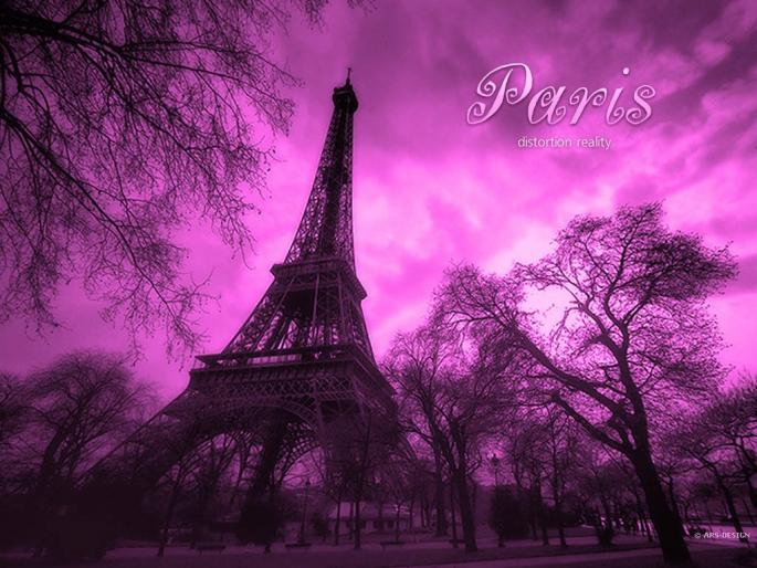 229_Paris_2 - Funny pictures