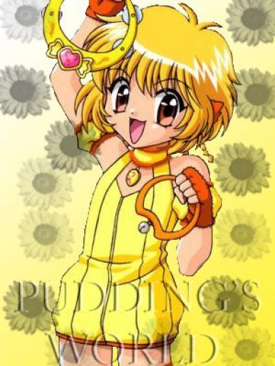 puddingbanner