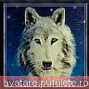 ca96000040ab5876 - animale
