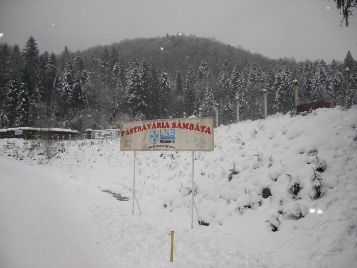 Simbata-Peisaj de iarna