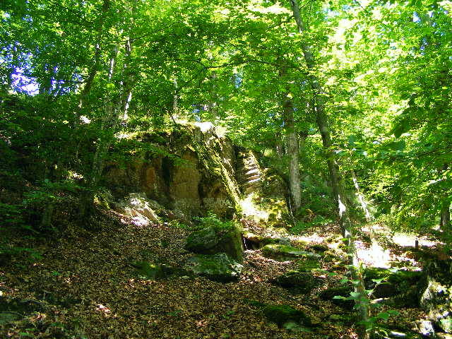 DSCF2419