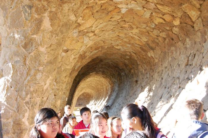 Picture 307 - Parc Guell