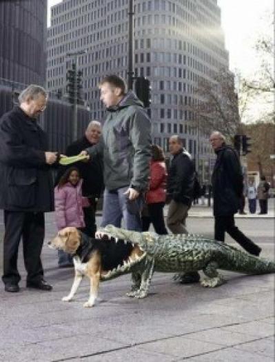 caine-poze-amuzante-crocodili-halloween-228x300
