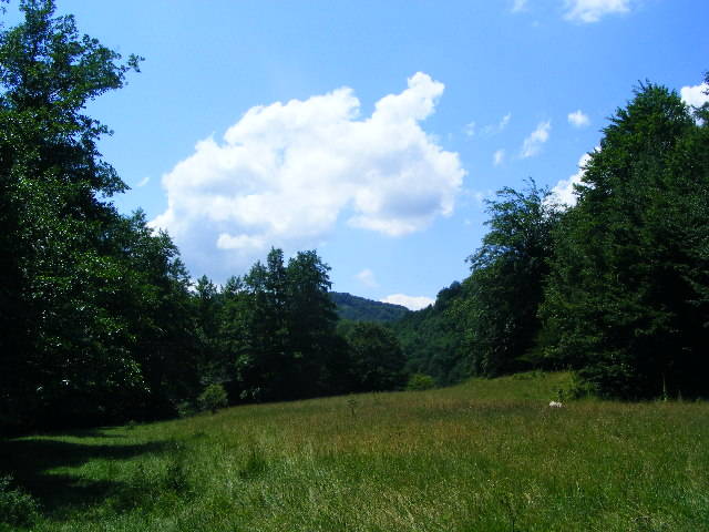 DSCF2648