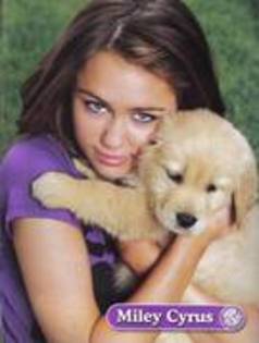 miley and dog - Pentru BellaEdward11