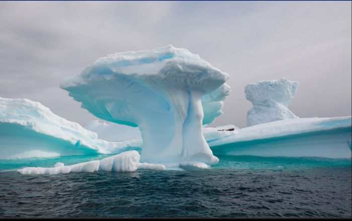 19 - alaska and antarctica icebergs