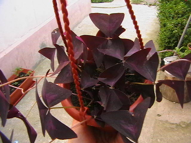 Picture 028