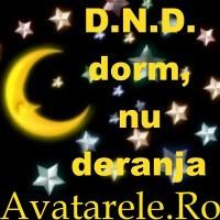 29 - avatare cu dnd