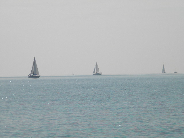 DSCN1267