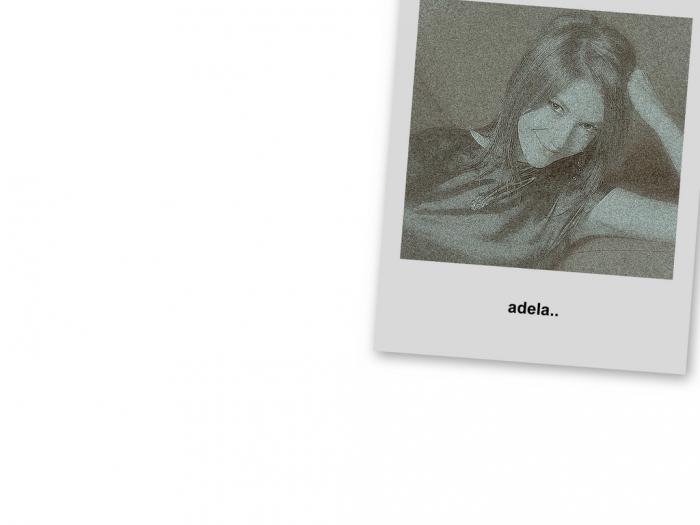 collage - poze adela popescu