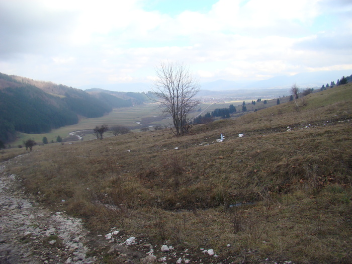 DSC04634