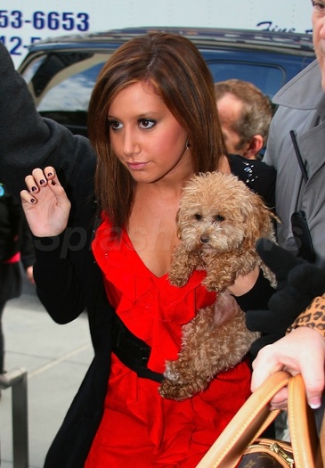 2-1248981429-post_image-Splashspl56753_005