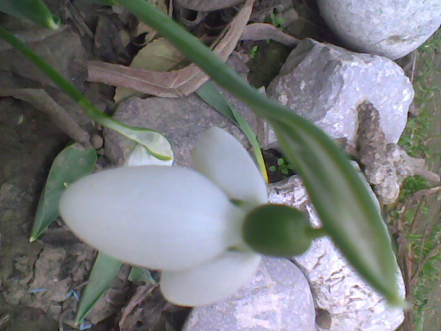 Imag067