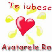 AVATARE (29)