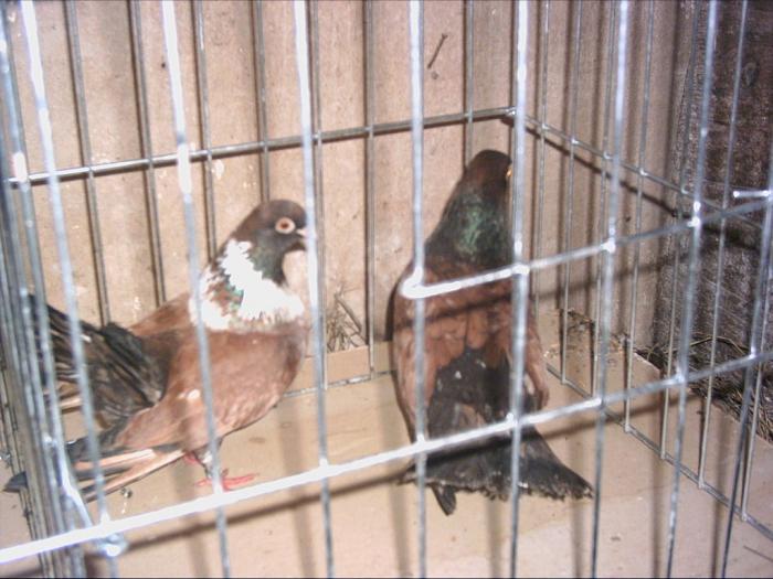PICT0023