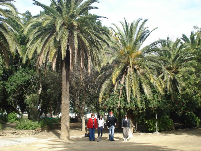 Picture 360; Nicosia de Sud
