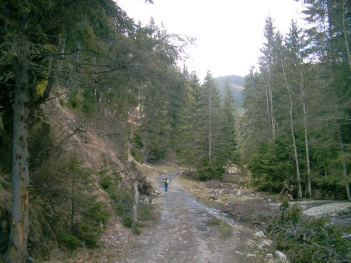 04120054 - Iezer-Papusa