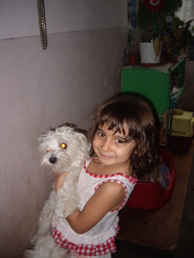 Hanna Bichon Havanese