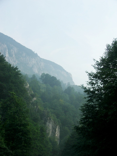 DSCF4937 - Valea Cernei