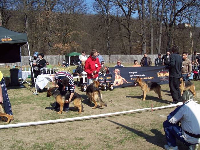 100_6805 - Expo-Pitesti-28martie2009