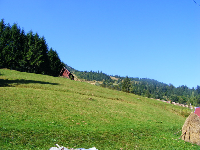 DSCF6262 - muntii Rodnei