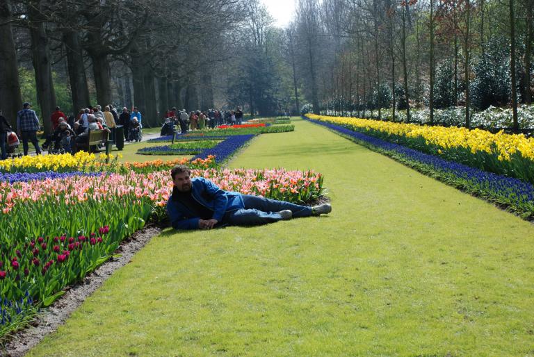Afbeelding 831 - KEUKENHOF-OLANDA