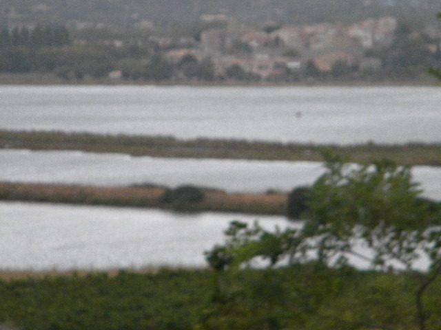 DSCN1574
