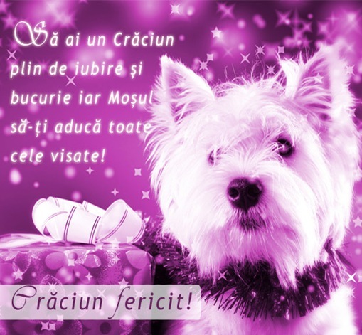 Felicitare de craciun-catelusul cu urari[7]