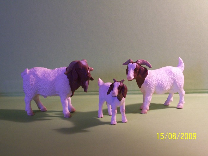 capre boer - animale SCHLEICH