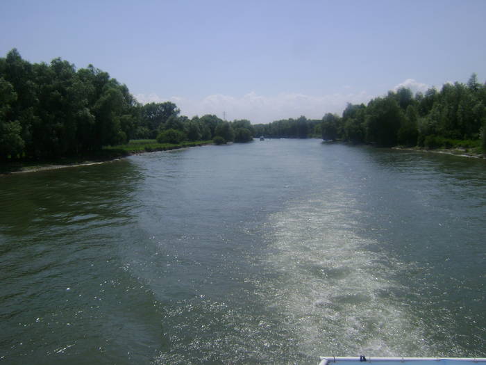 excursie delta dunarii 5062009 061 - EXCURSIE  in DELTA