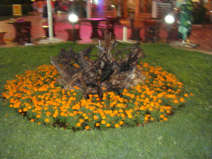 106 - bulgaria aug 2009