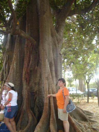 36 Sevilla - Sevilla