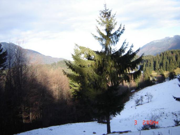 Picture 025