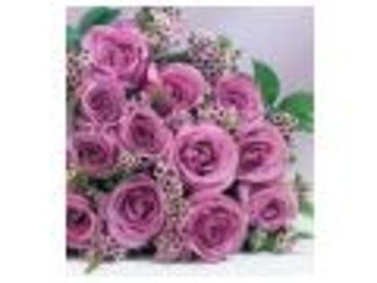 pentru-florii-p4a213d3u1t0 - Flori