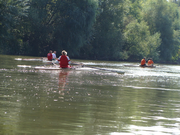 Concursul Cupa Mures 2009 - Cupa Mures 2009 Arad