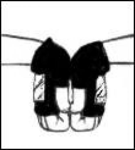 Semn - Poze cu toate personajele din Naruto