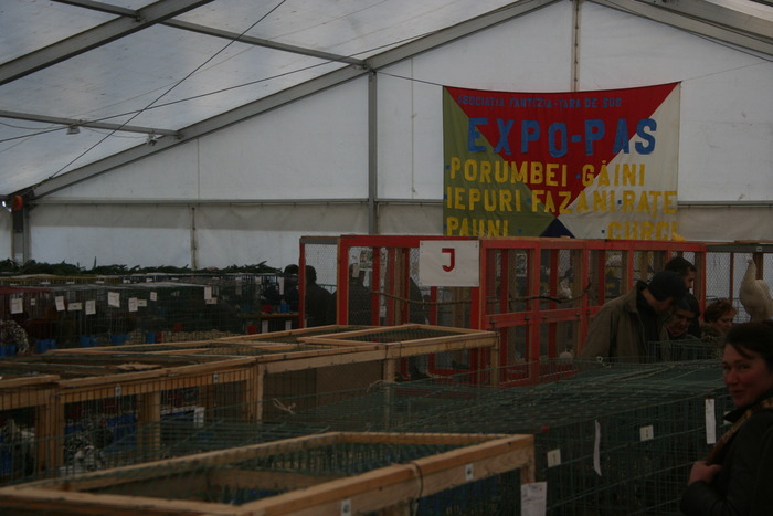 EXPO-PAS Suceava 2009