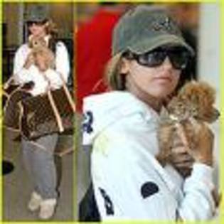 rararrrrrr - ASHLEY TISDALE POZE RARE