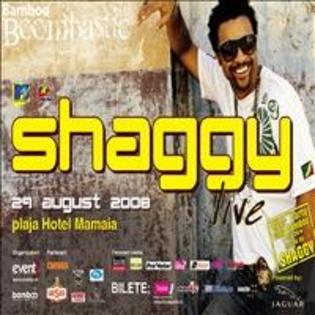 b7aa53xhs9 - shaggy