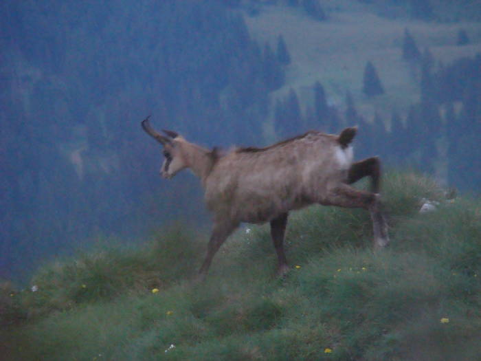 DSC03853 - Concediu 2009