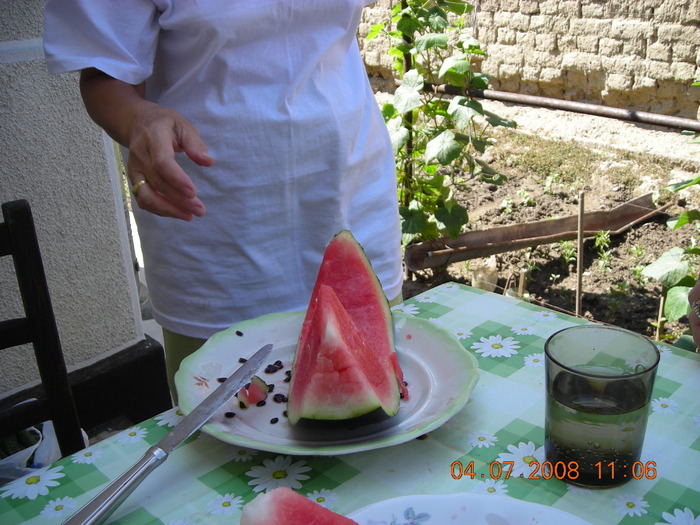 DSCN7299