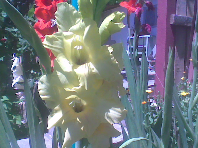 Imag050