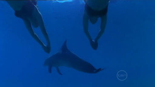 NIOEEZKFCGNVXYJUBAF - H2o