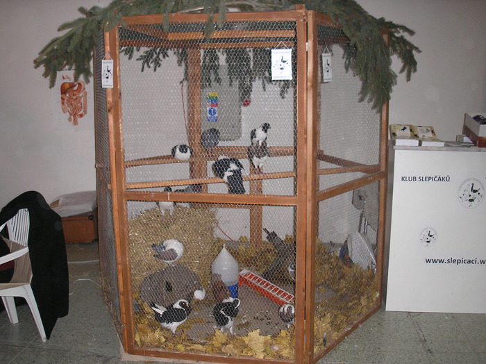 P1010167
